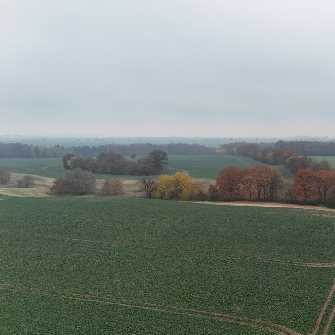 Foto dient der Dekoration und zeigt: Mecklenburgische Seenplatte - Drohnenaufnahme