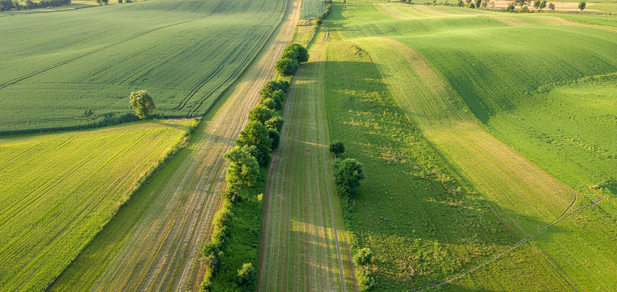 Drohnenaufnahme Feld -KI